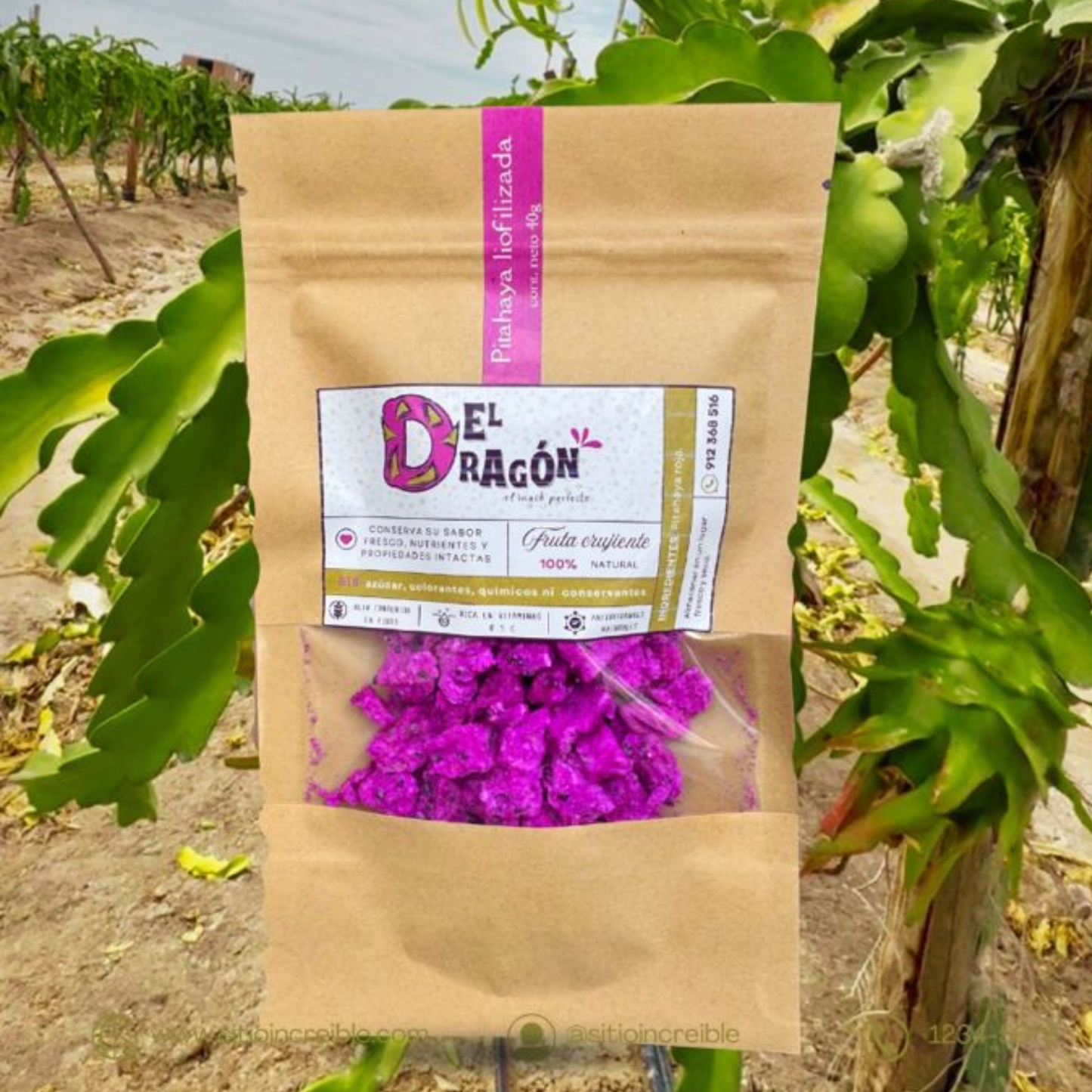 Liofilizado de Pitahaya