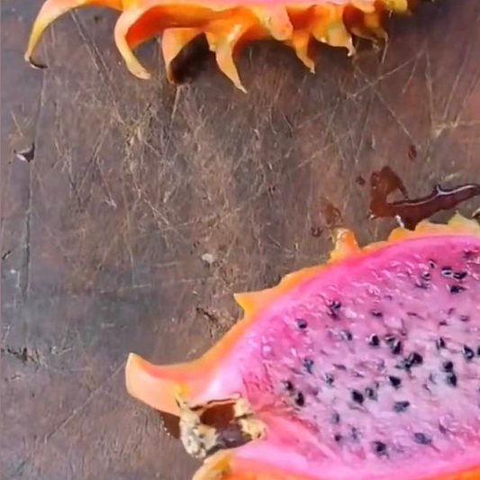 Pitahaya Orange Chinese